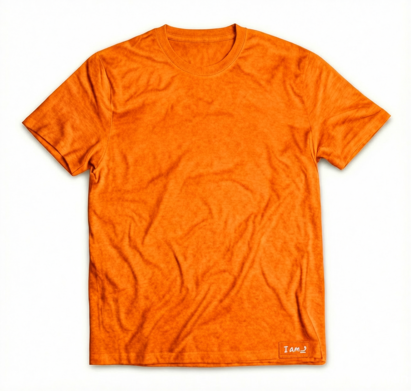 Ani hu Shirt