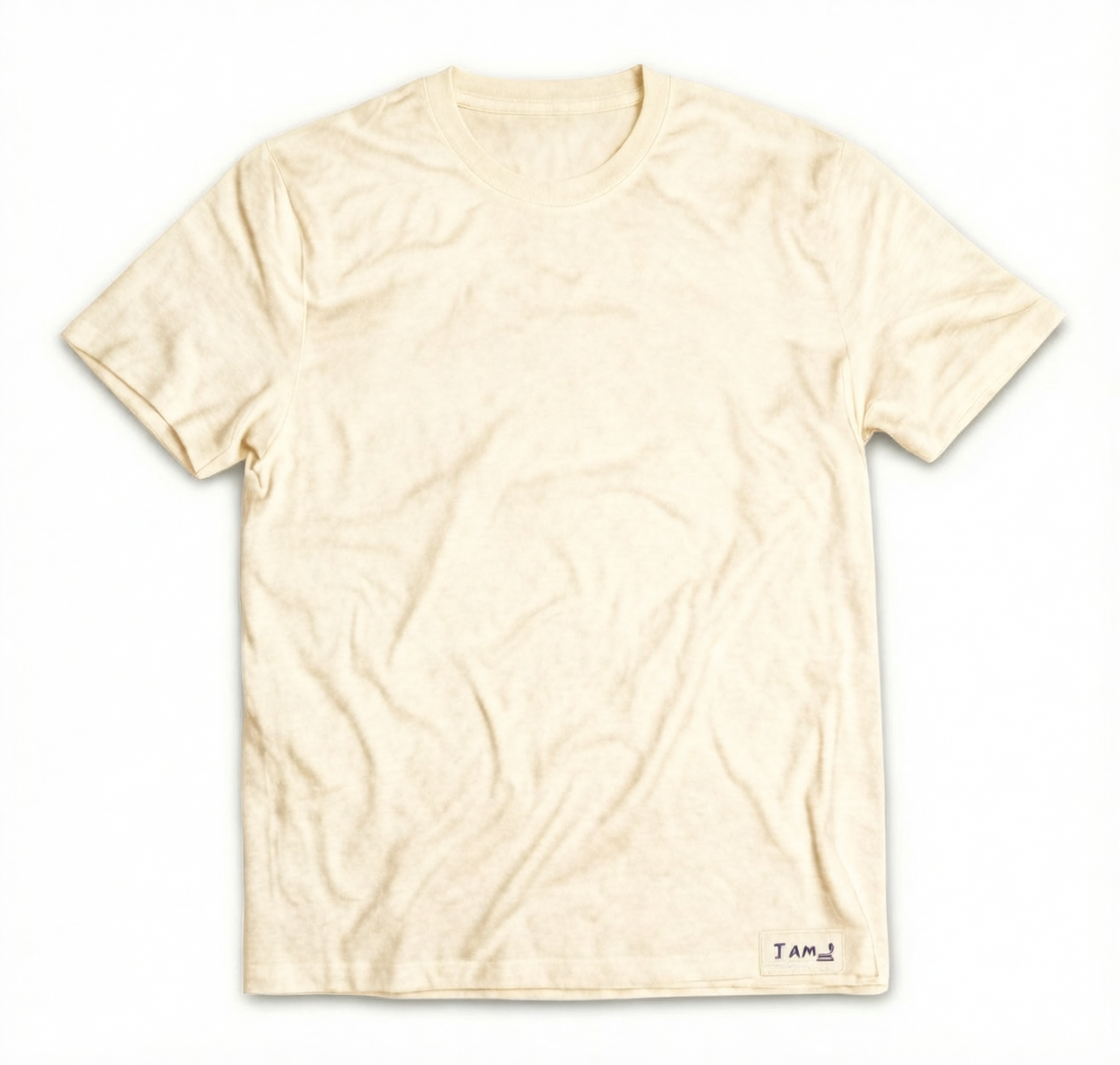 Ani hu Shirt