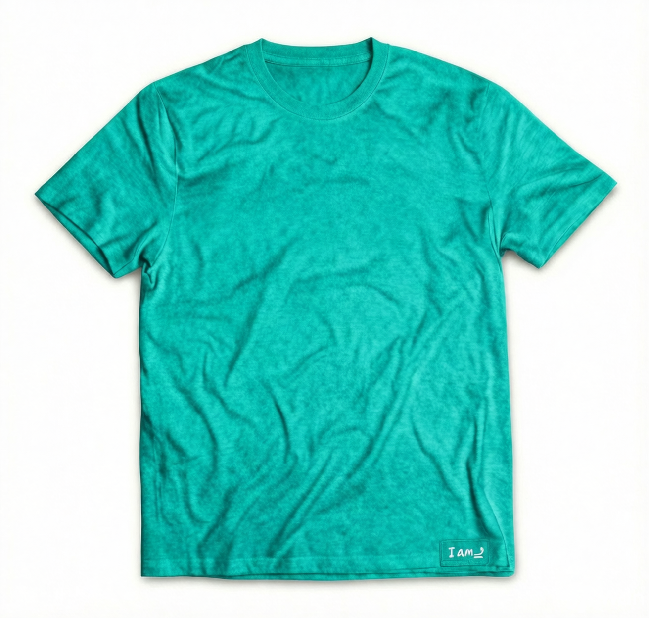 Ani hu Shirt