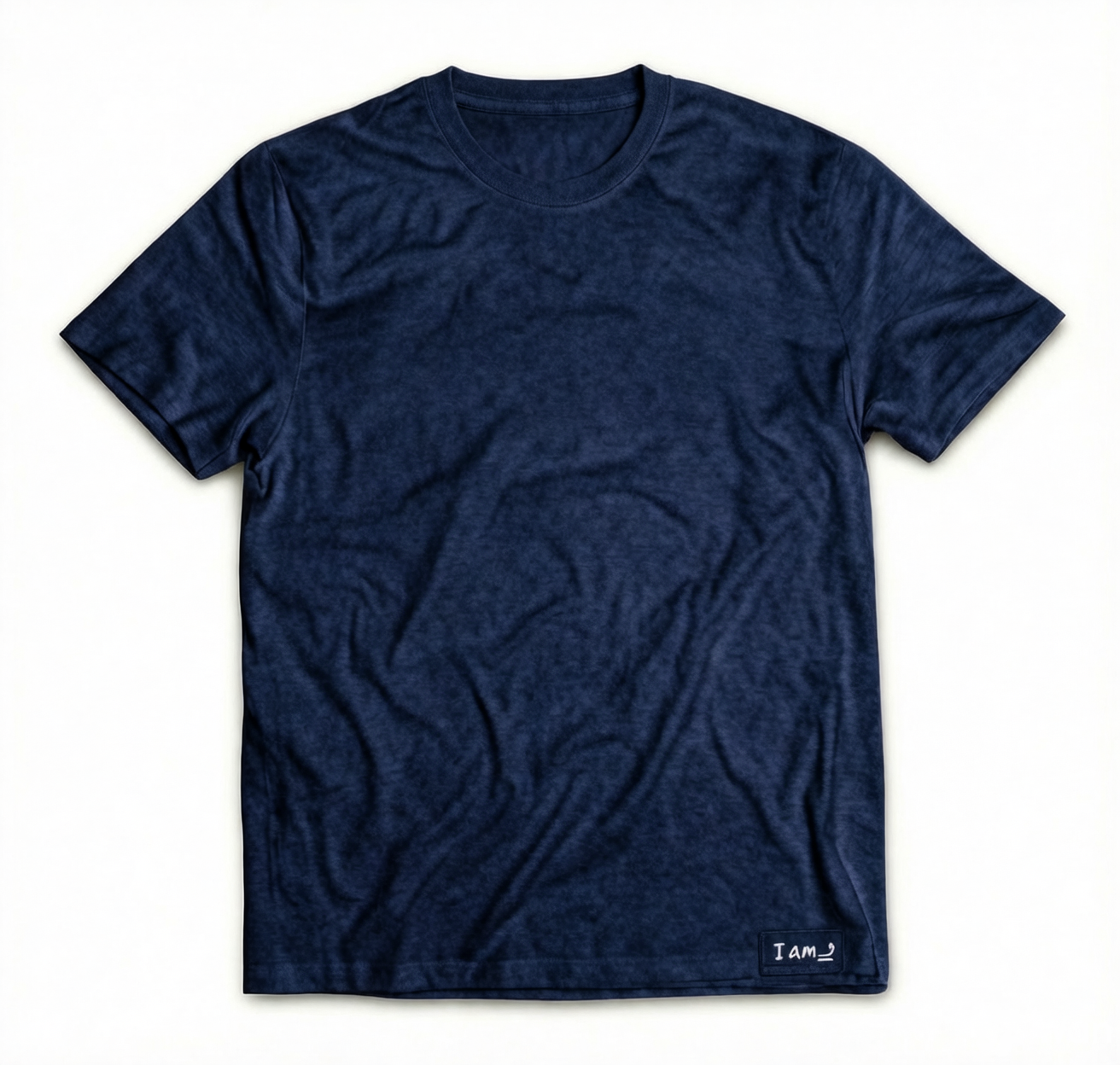 Ani hu Shirt